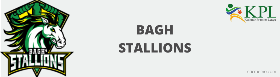 Bagh Stallions KPL Squad